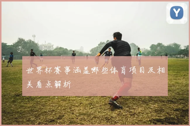 世界杯赛事涵盖哪些体育项目及相关看点解析